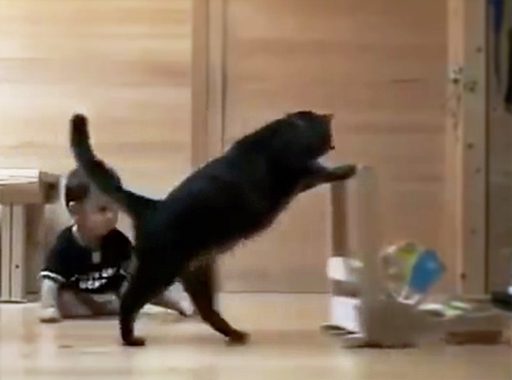 Smart Cat Teaches a Baby How to Walk - This is Just Too Much!