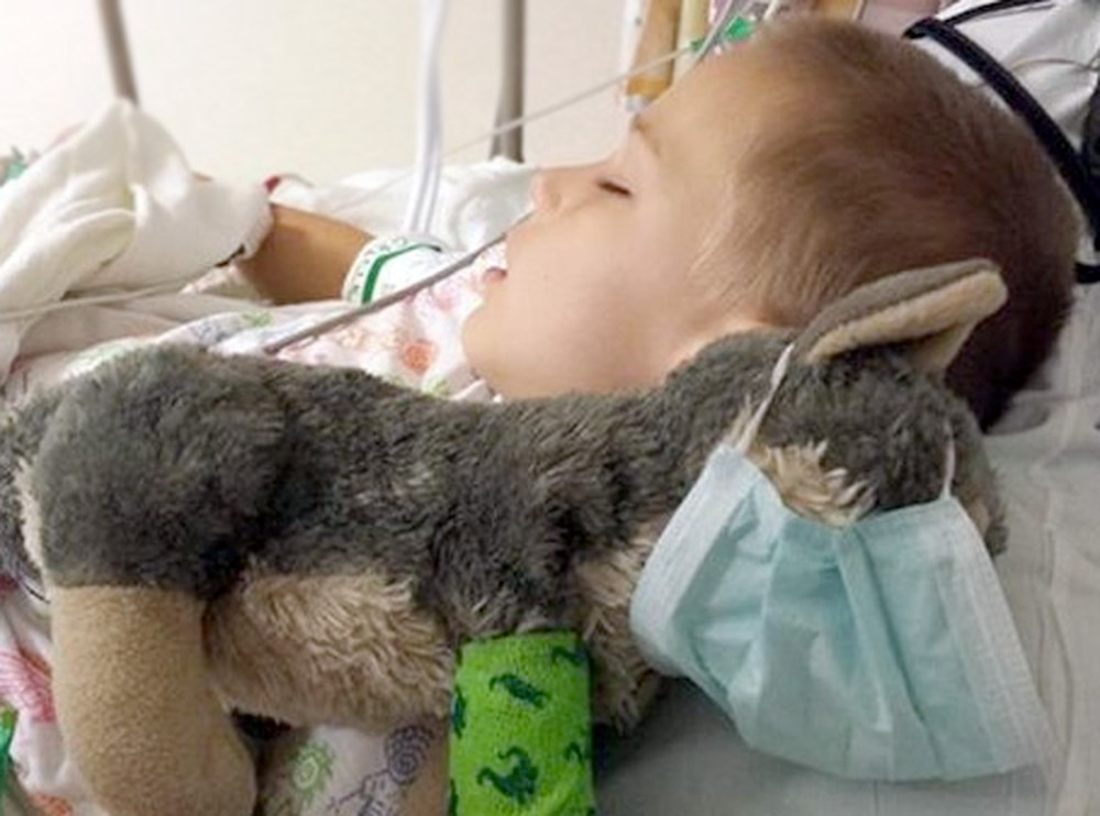 A Nervous Little Boy and His Stuffed Wolf Gets a Sweet Surprise During Surgery - So Touching :)
