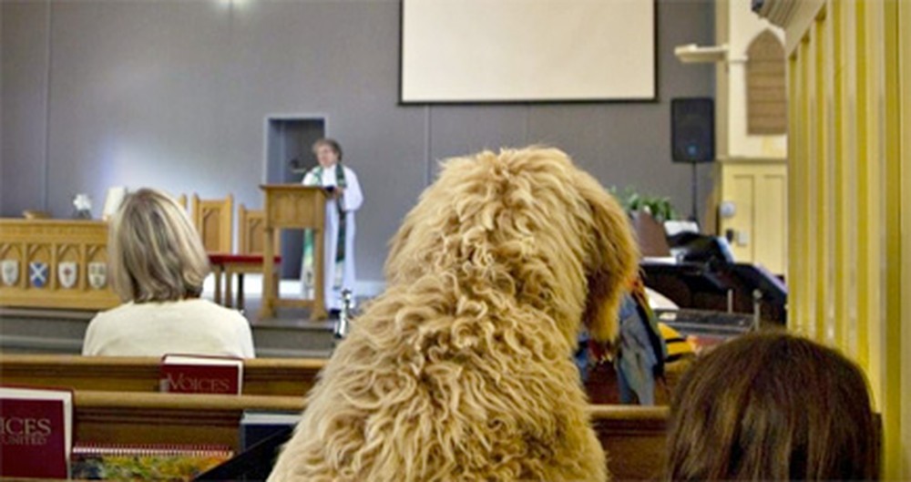 Special Church Services Welcome Pets - Making Sunday Afternoons Adorable