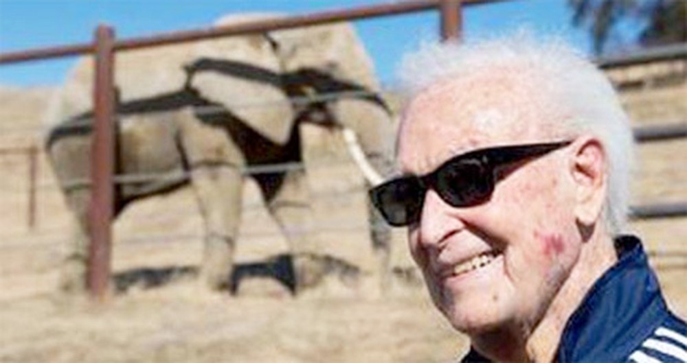 The Price Was Right for The Elephants Bob Barker Saved - 1 Million Dollars!
