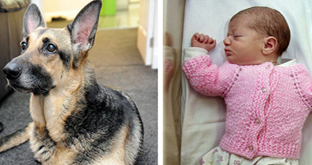 A Newborn Was Abandoned in a Park. Then a Furry Angel Saved Her.