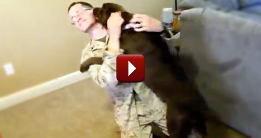 The Joy You'll See in This Video is Unmatchable. Dogs are a True Blessing From God!
