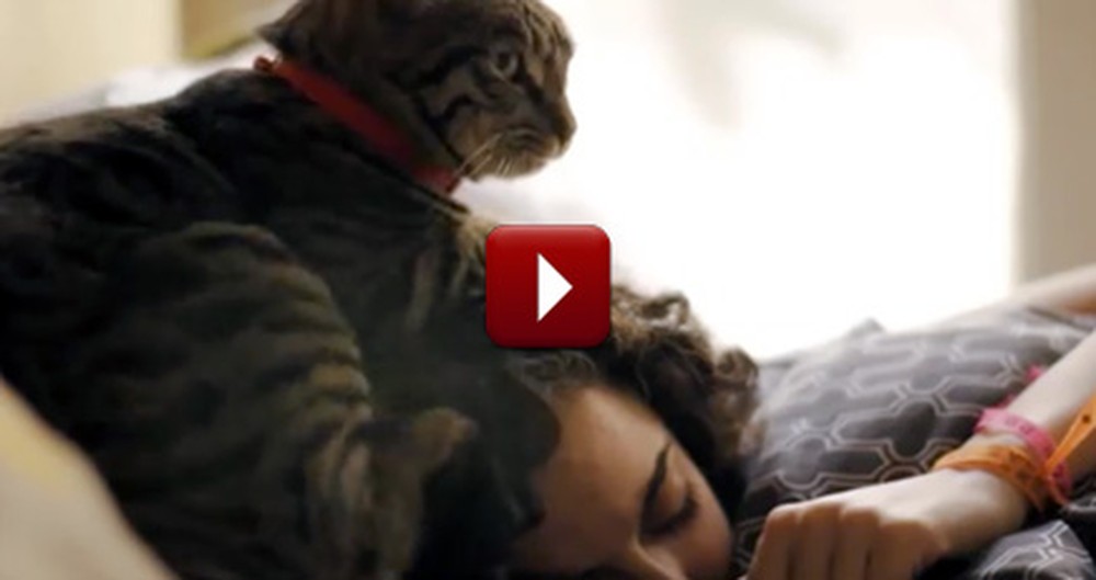 You Probably Don't Realize Just How Much Your Kitty Helps You. Just Watch!