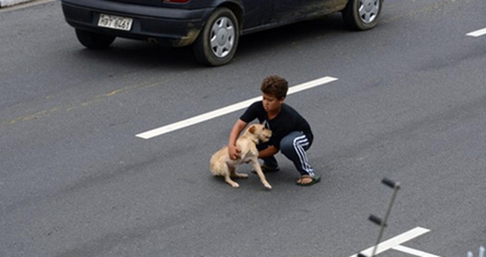 A Boy Helps a Desperate Dog in Need - an Incredibly Touching Photo