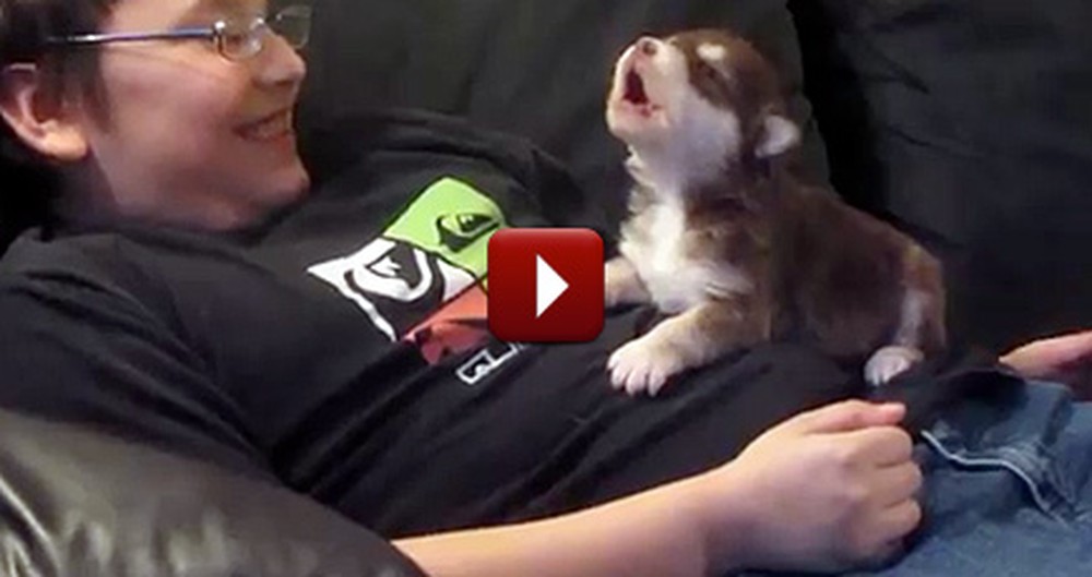 A Child Teaches a Day-Old Puppy How to Howl - Too Cute