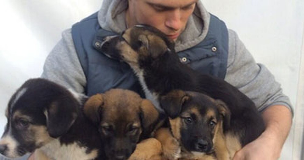 U.S. Olympic Athlete Finds Stray Puppies in Russia... and Does Something Awesome.