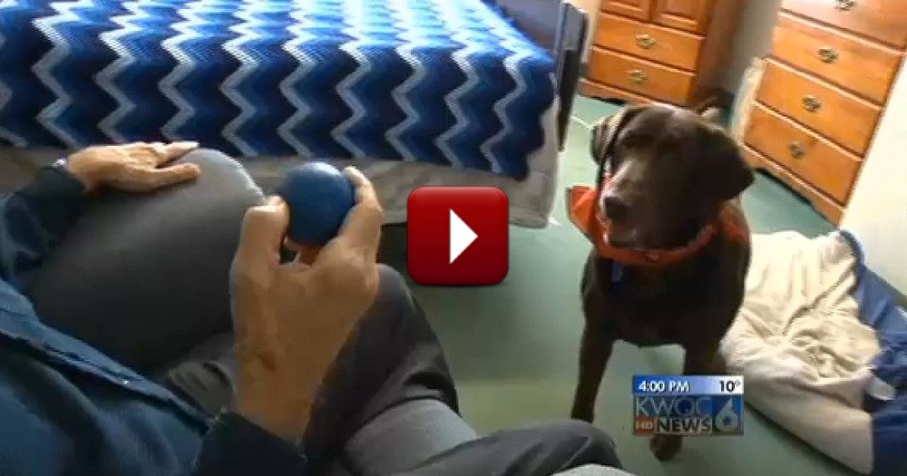 8-Year-Old Rescue Dog Becomes Loyal Companion to Nursing Home Residents