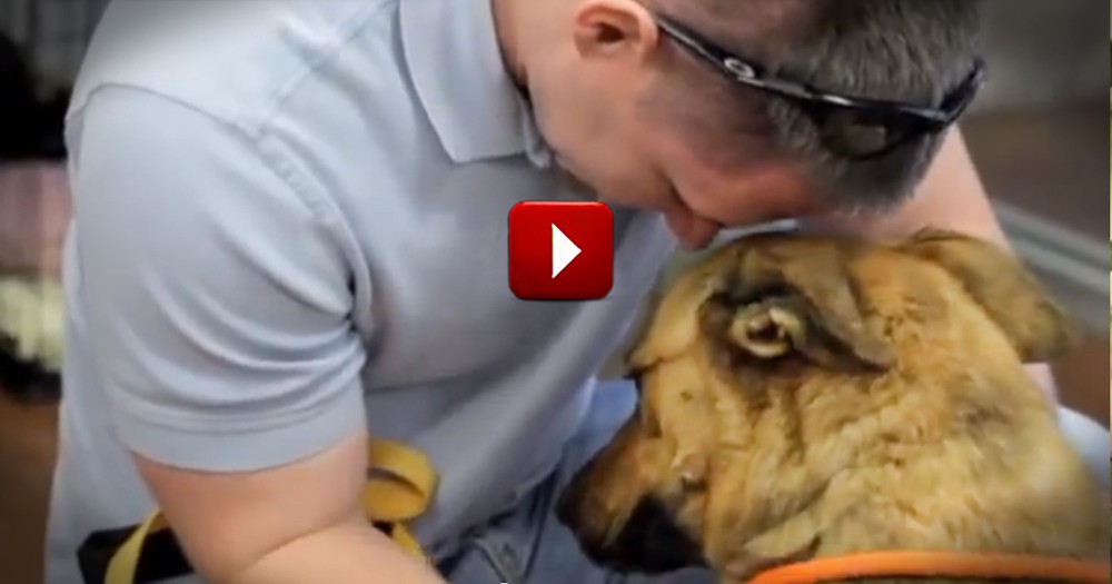 You Can FEEL the Love When This Sweet Dog is Reunited with Her Family