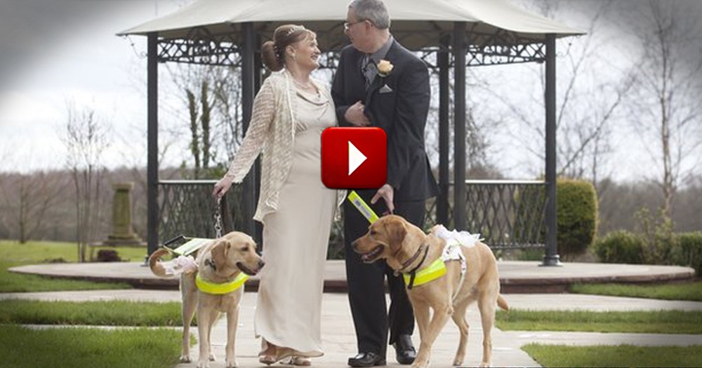 Two Guide Dogs Fell In 'Puppy' Love... and Then Their Owners Got Married!