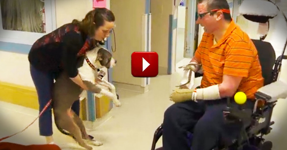 You Will Never Believe What Makes This Dog So Special. Her Secret Will Melt Your Heart!