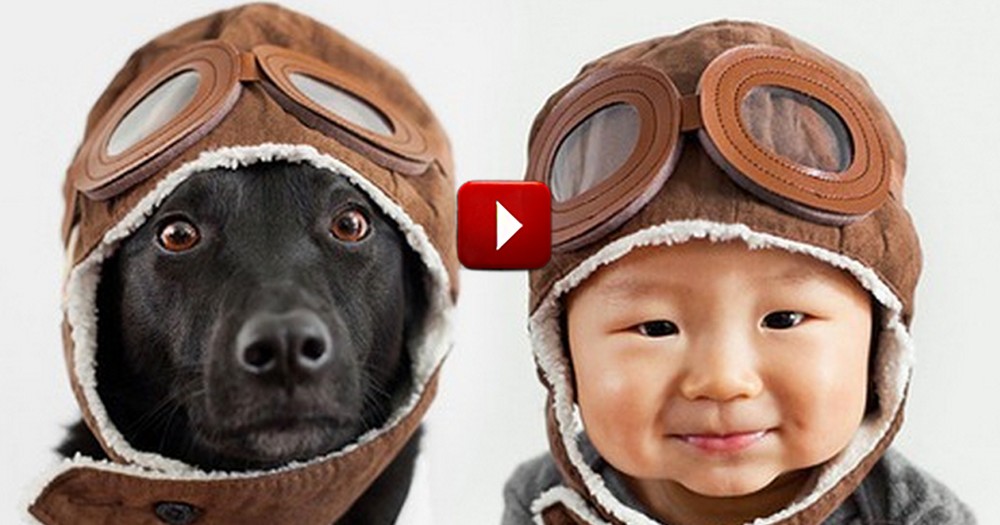 These Two Are The Cutest 'Siblings' You'll Ever See! 