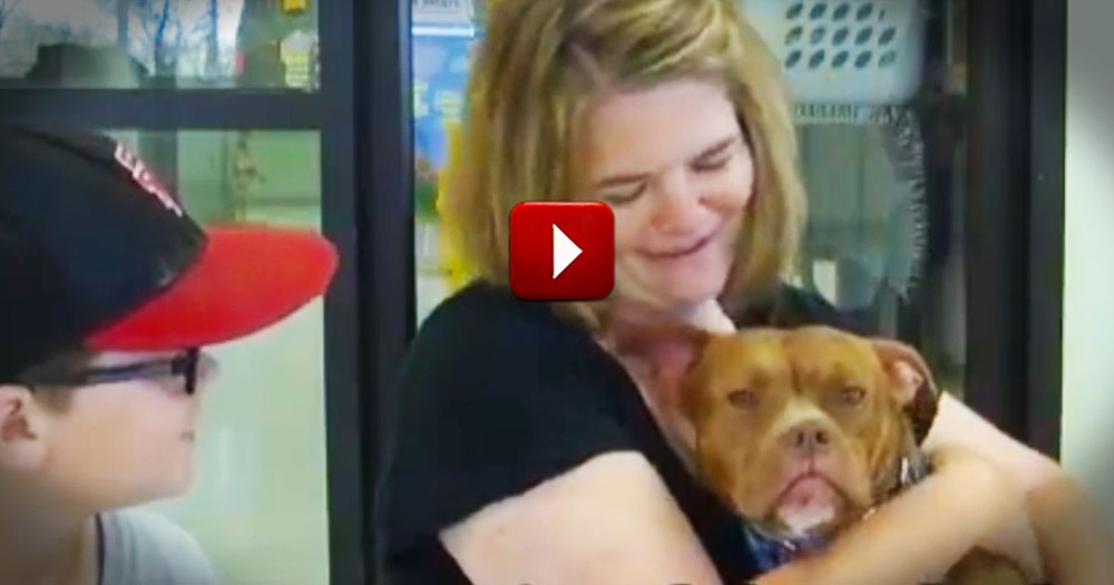 What This Pup And Her New Mom Share Is Incredible. This Match Was Made In Heaven!