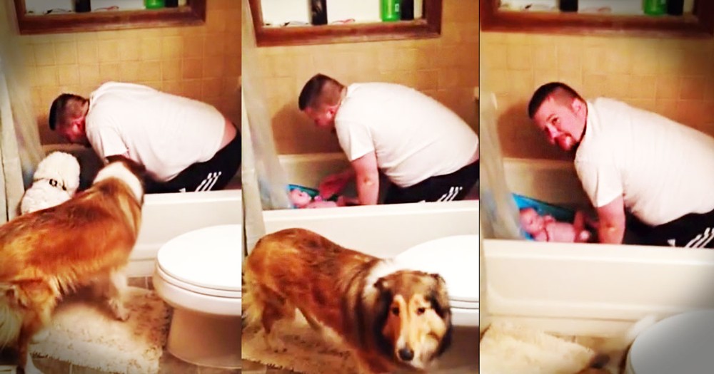 This Dad Did the Funniest Thing When He Thought No One Was Listening. He Cracked Me Up at :20!
