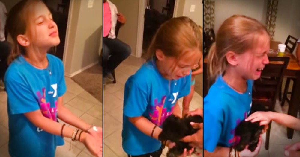 What Caused This Complete Meltdown Will Completely Melt Your Heart. Best. Surprise. EVER!