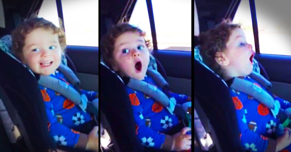 What Happened In This Car Seat Was Pure AWESOMENESS. Now I'm Roaring with Laughter!