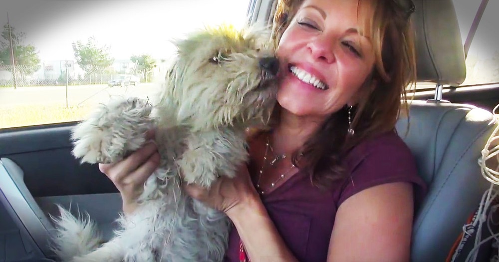 This Dog Was So Terrified He Buried His Head. After Kisses From Betty White, He Gets A Forever Home!