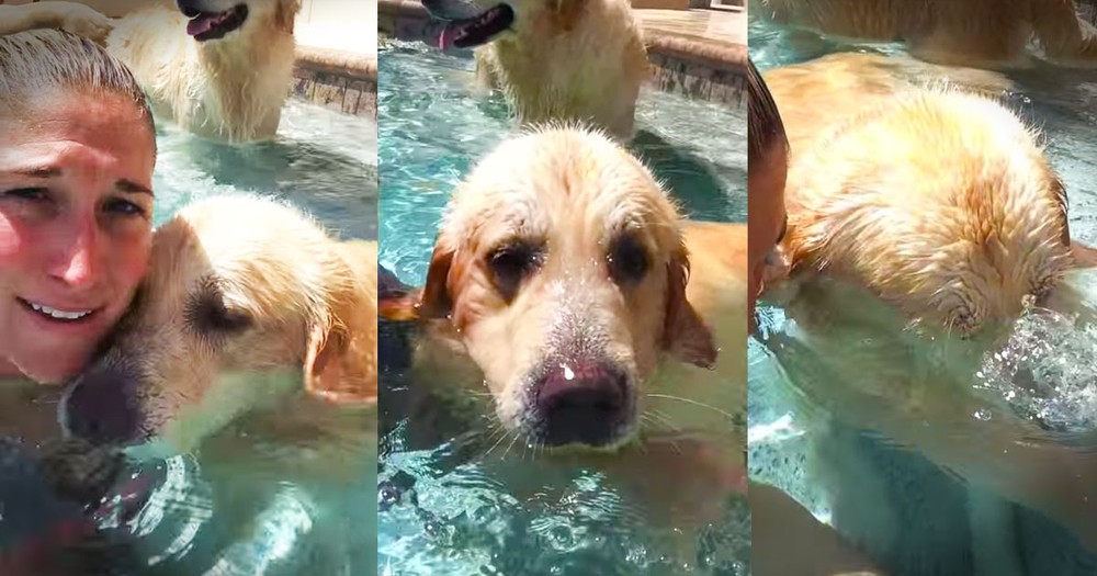 You've Gotta See This Adorable Doggie's Newest Trick. It'll Have You Bubbling Over With Joy!