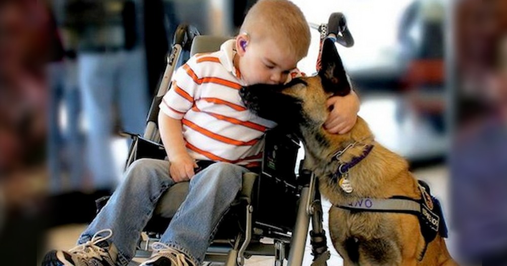 Dying Boy's Bond With a Dog That Will Break Your Heart