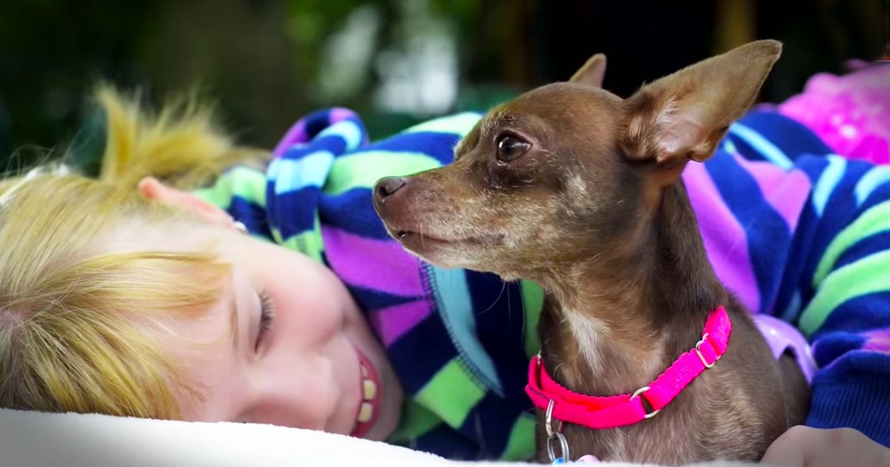 This Deformed Rescue Dog Was Homeless. Until She Met A Girl Who Saw Her Through Love's Eyes!