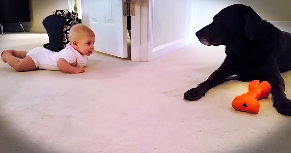 I Didn't Think Baby's First Crawl Could Get Any Cuter. Until The PRECIOUS Ending!