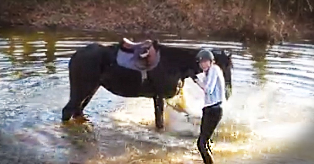 Scared Horse Finds JOY By Splashing His Human