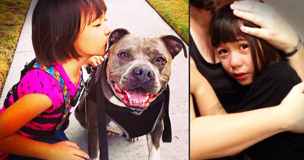 Little Girl Rejected By Santa Because Her Service Dog Is A Pit Bull 