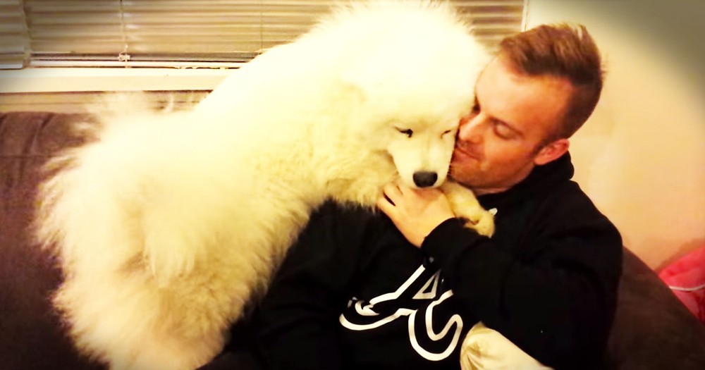 Fluffy Pup REALLY Wants A Hug