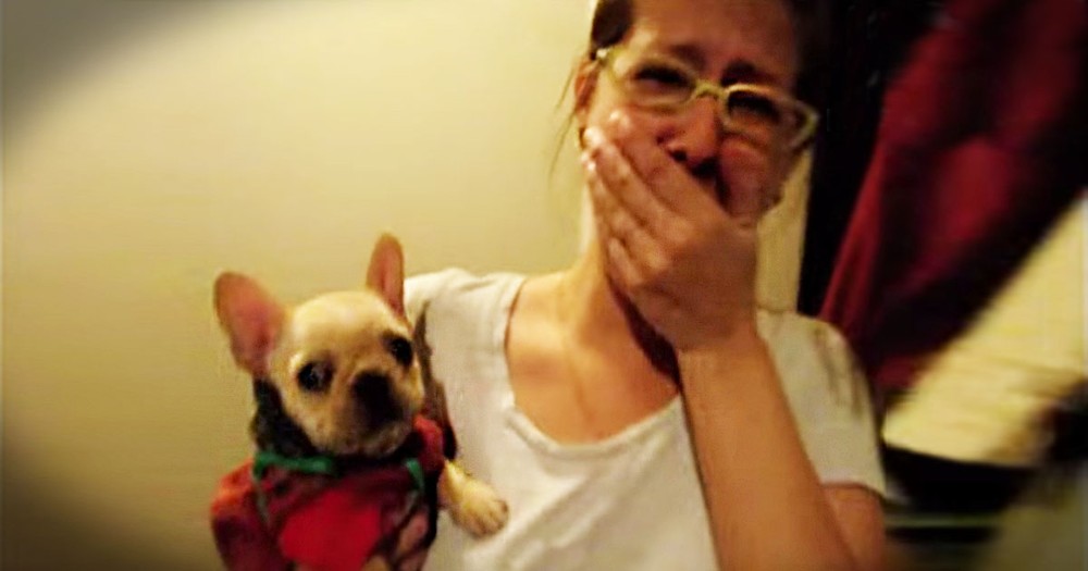 Pup Responds To 'I Love You'--Aww!