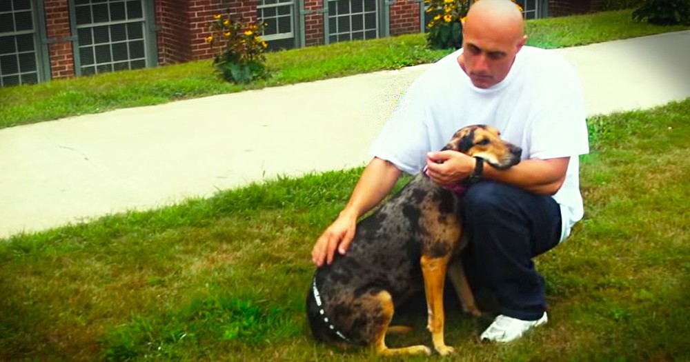 Abandoned Dogs Find Love In An Unlikely Place--Prison!