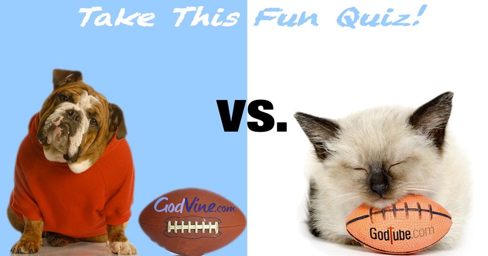 Take This Fun Quiz And See Which Viral Video Team YOU Would Play For!