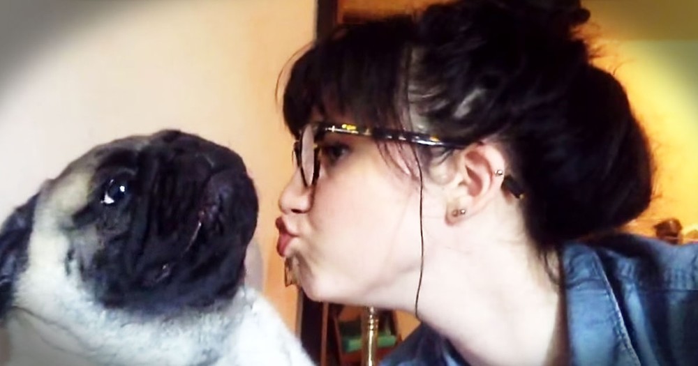 Pug Adorably Resists His 'Momma's' Kisses