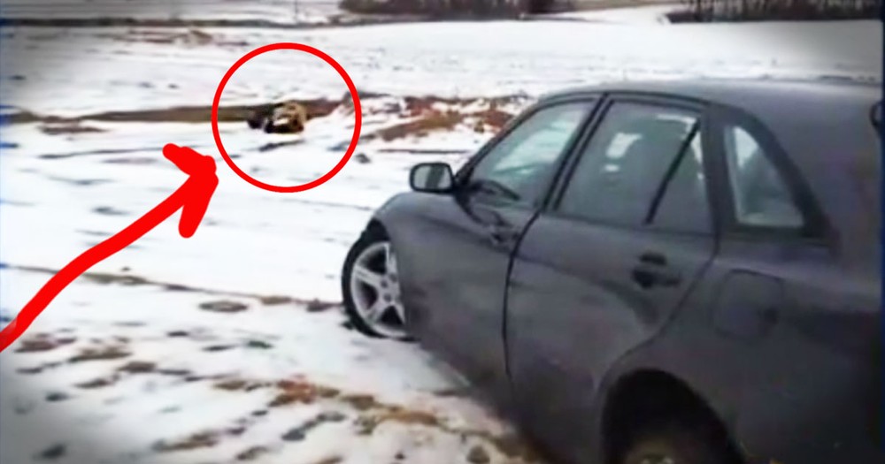 What This Hero Found Frozen To The Pavement SHOCKED Him!