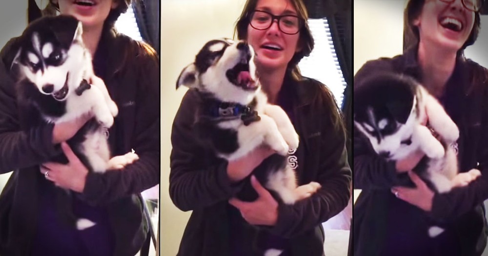 Baby Pup Talks Like He's Human, And It's ADORABLE!