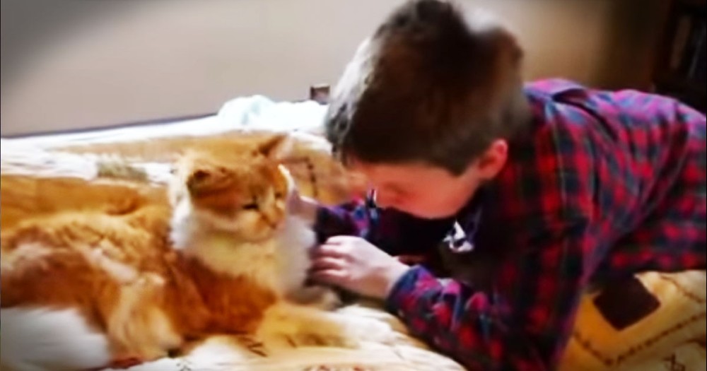 One Boy's Tearful Reunion With His Long Missing Cat