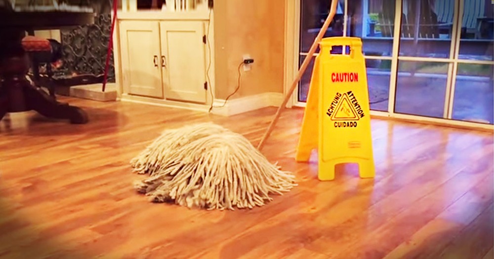 Apparently, This Normal Mop Has A Surprise For You--LOL!