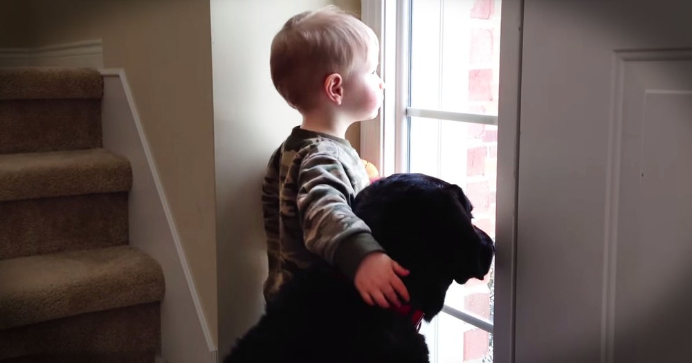 When This Pup Was Sad, A Sweet Boy Stepped Up And Did THIS To Comfort Him--Awww!