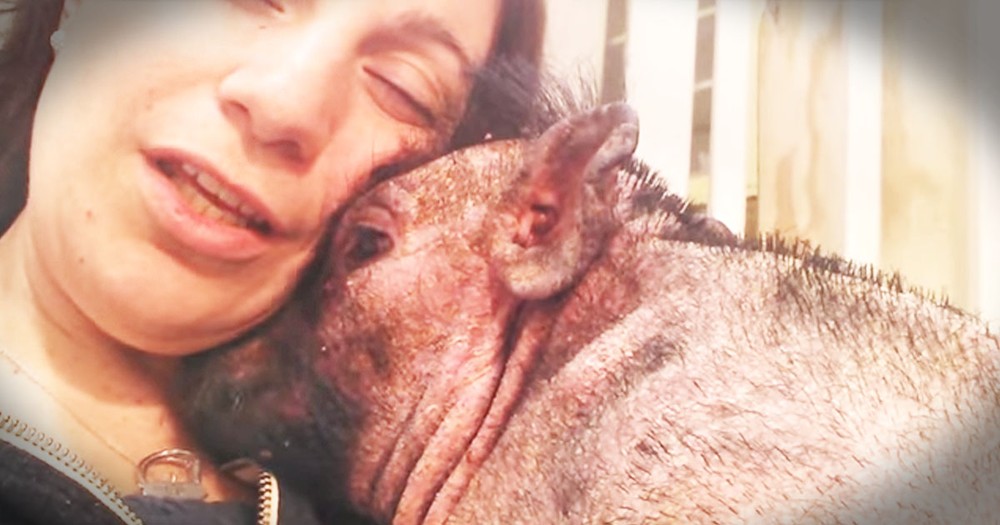 She Sang 'Down In The Valley' To Her Poor Rescue Pig, And My Tears Just ROLLED!