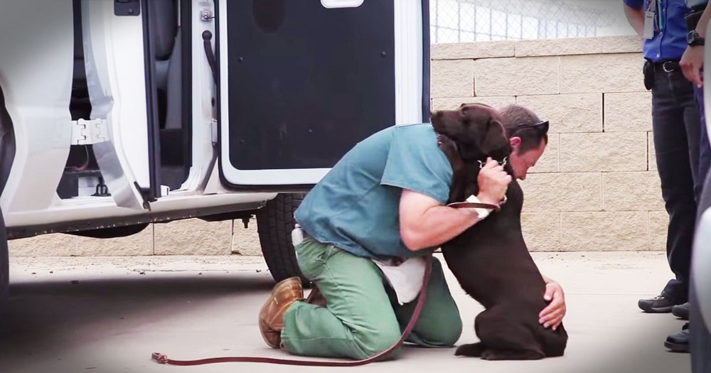 Abused Dog Gets 2nd Chance In Most Unlikely Place--TISSUES Please!