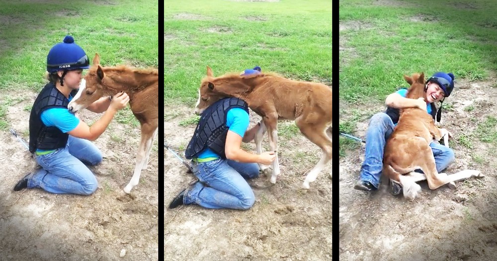 Apparently, This Horse Is A Little, Tiny Bit Friendly--Awww!