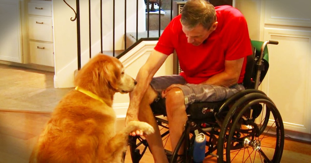 He Was Paralyzed With No One To Help. Until His Dog Proved He's A Furry Angel!  