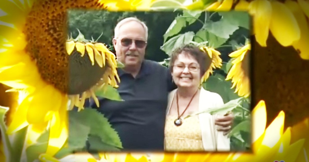 He Planted Sunflowers To Honor His Wife's Memory And You Have To See The Result!