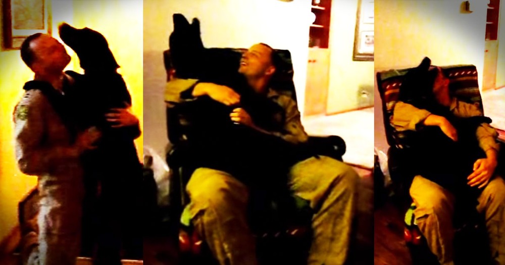 Sweet Dog Cries for Joy in His Soldier Daddy's Lap