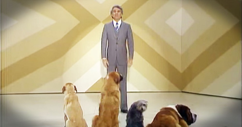 Steve Martin's Comedy Routine For Dogs Is Hilarious...For Humans!