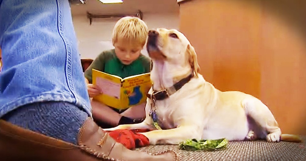 Kids Are Reading To Dogs For The Best Reason
