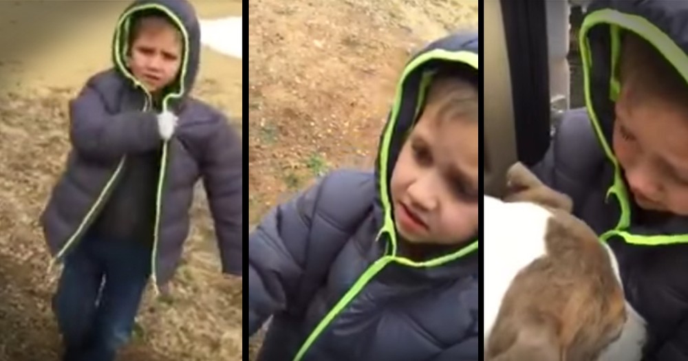 Little Boy's Reunion With His Lost Dog Is Too Sweet