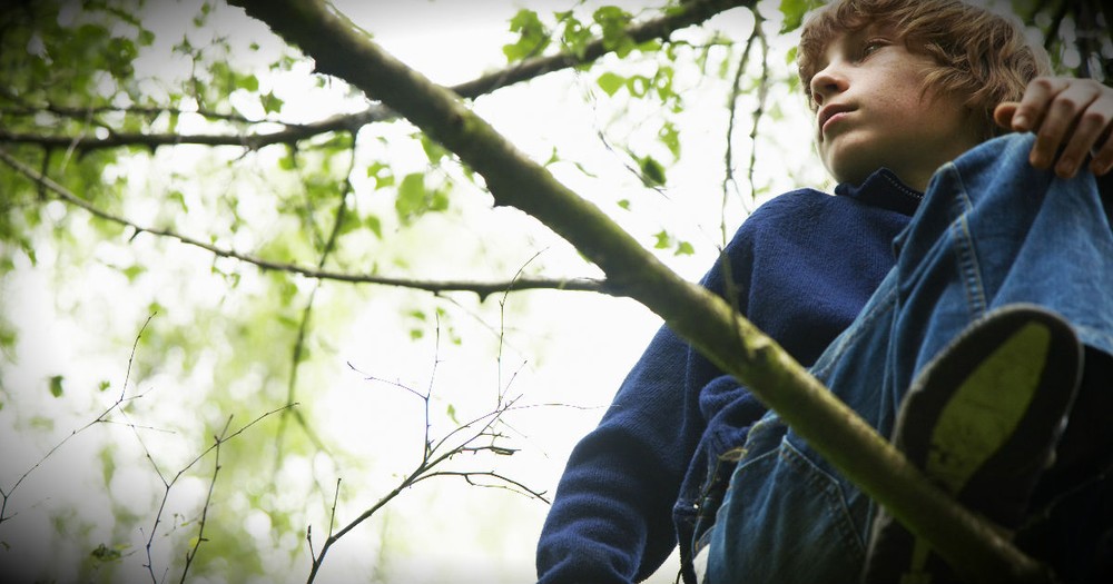Why This Father Leaves His Son In The Woods Is Too Good To Miss!