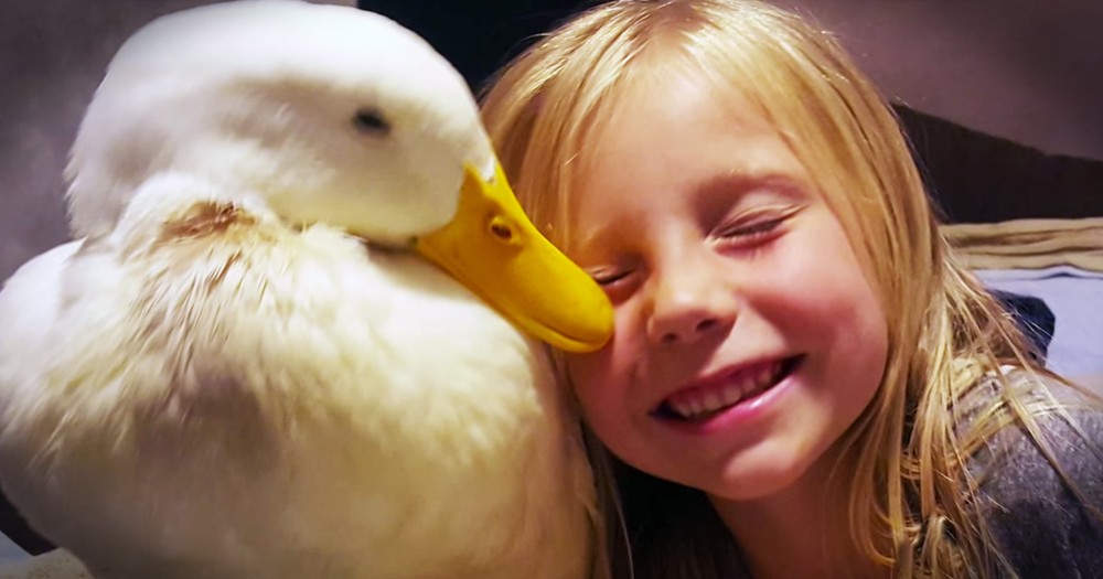 5-Year-Old Girl And Her Duck Will Make Your Day