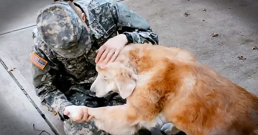 Dog's Reaction To His Favorite Soldier Is Too Cute