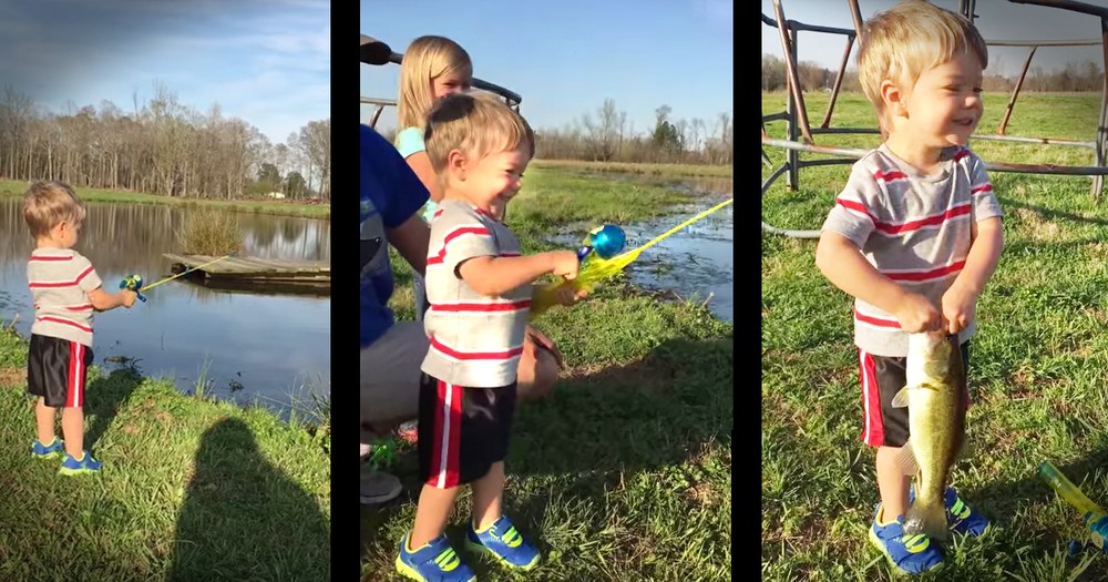 Little Boy Catching A Fish With His Toy Fishing Rod Will Make Your Day 
