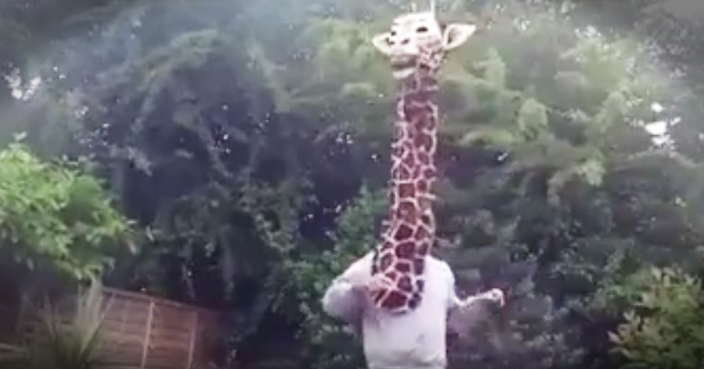 Hilarious Giraffe Puppet's Lip-Dub Will Leave You Laughing
